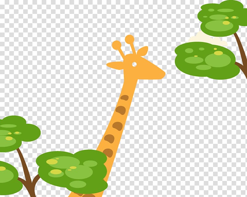 Northern giraffe Poster , Giraffe grazing transparent background PNG clipart