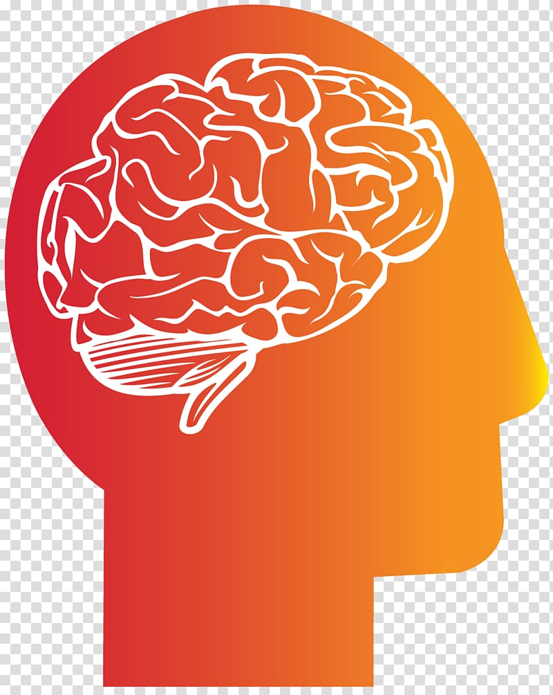 Cortechs Labs Brain Neurology Hitachi Head, Brain transparent background PNG clipart