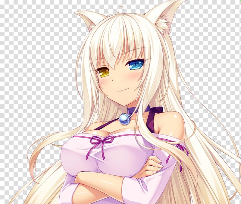 Nekopara Coconut Catgirl Neko Works, coconut transparent background PNG clipart