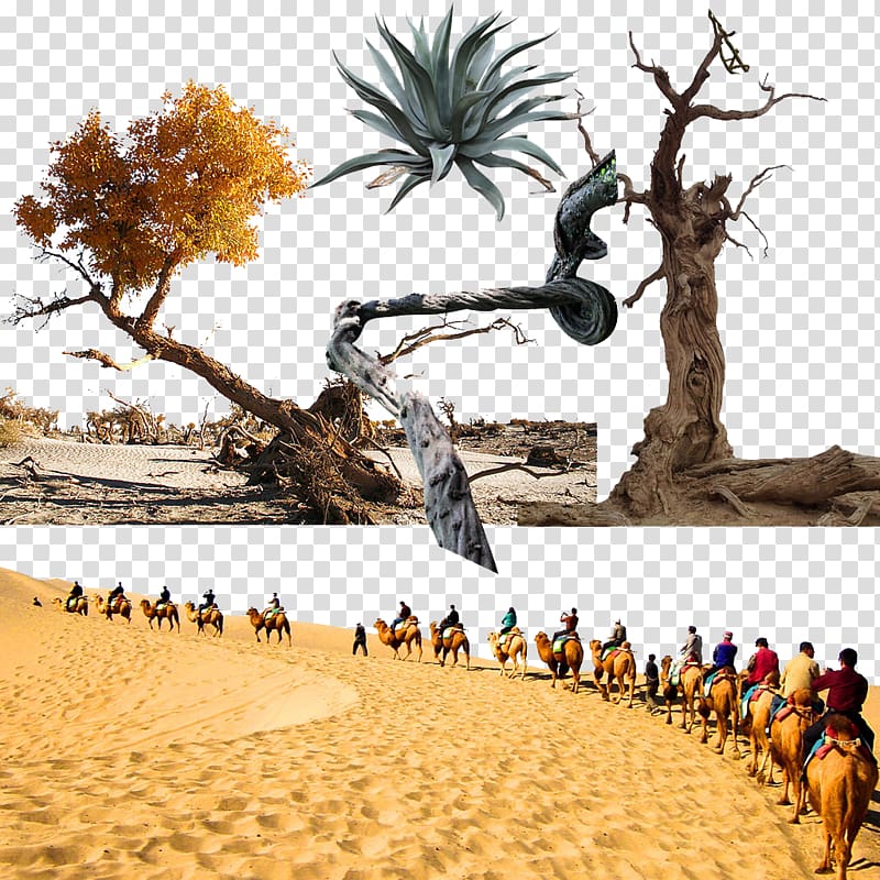Landscape Tree Desert, Desert Landscape transparent background PNG clipart
