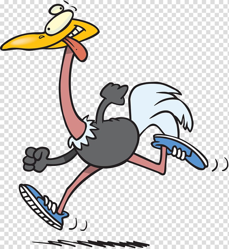 Common ostrich Bird Running , ostrich transparent background PNG clipart