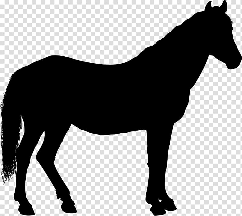 Horse Silhouette , horse riding transparent background PNG clipart