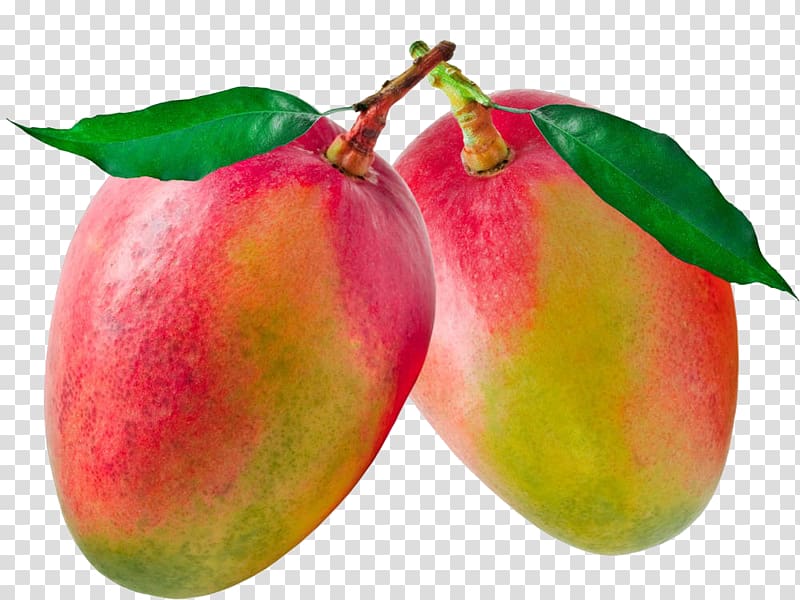 , Mango transparent background PNG clipart