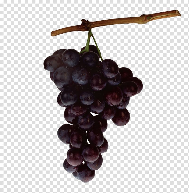 Kyoho Grape Fruit, a bunch of grapes transparent background PNG clipart