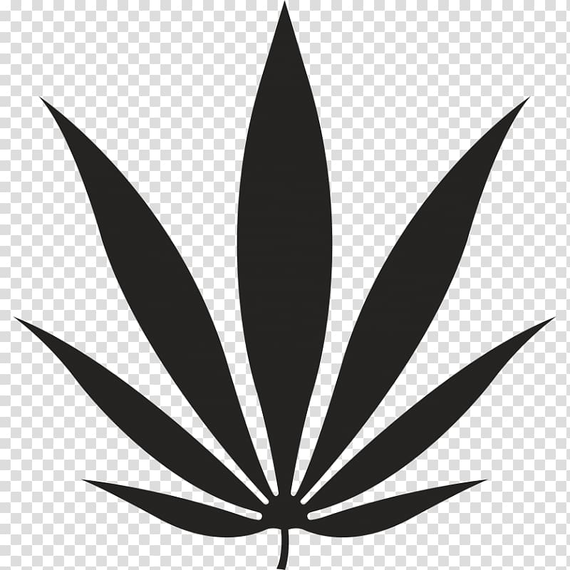 Leaf Paper Cannabis Sticker Hemp, Leaf transparent background PNG clipart