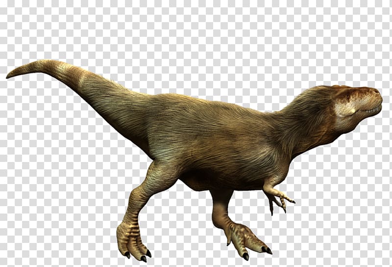 Tyrannosaurus Albertosaurus Tarbosaurus Megalosaurus Guanlong, t rex transparent background PNG clipart