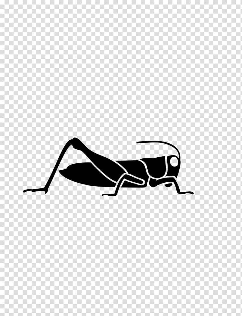 Grasshopper Caelifera Paper Sticker, Grasshopper transparent background PNG clipart