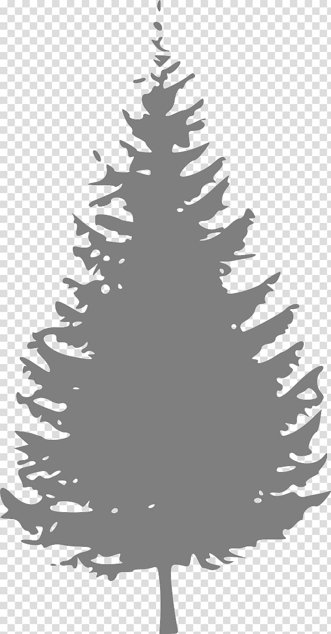 Pine Tree Fir , watercolor christmas tree blue tree transparent background PNG clipart