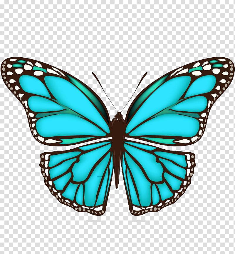 Butterfly , Creative Butterfly transparent background PNG clipart