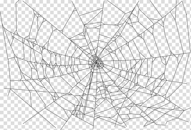 spiderweb , Spider web Computer Icons , web transparent background PNG clipart