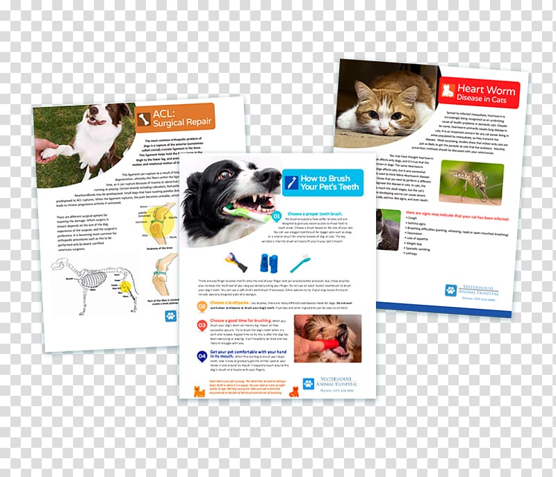 Veterinarian Digital Signs Graphics Brochure Advertising, design transparent background PNG clipart