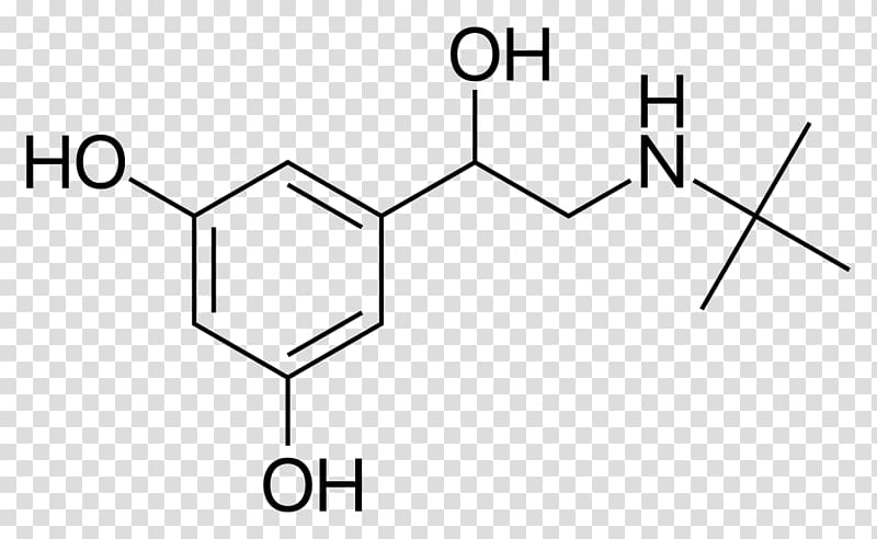 Terbutaline Beta2-adrenergic agonist Metaproterenol Asthma Beta-2 adrenergic receptor, Metoprolol transparent background PNG clipart