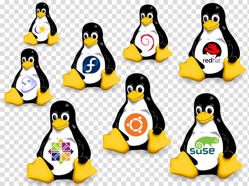 SUSE Linux distributions Operating Systems Ubuntu, linux transparent background PNG clipart