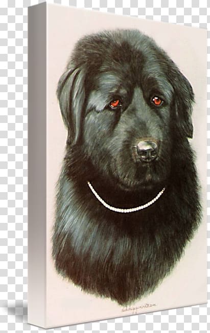 Dog breed Newfoundland dog Sarplaninac Leonberger Puppy, Newfoundland Dog transparent background PNG clipart