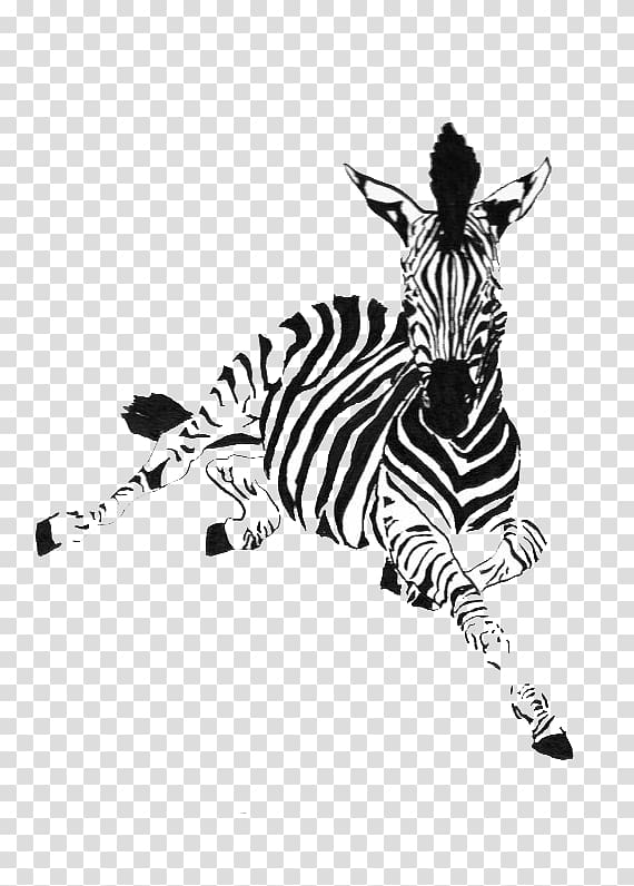 Zebra Horse Drawing Ink Animal, Zebra Animal transparent background PNG clipart
