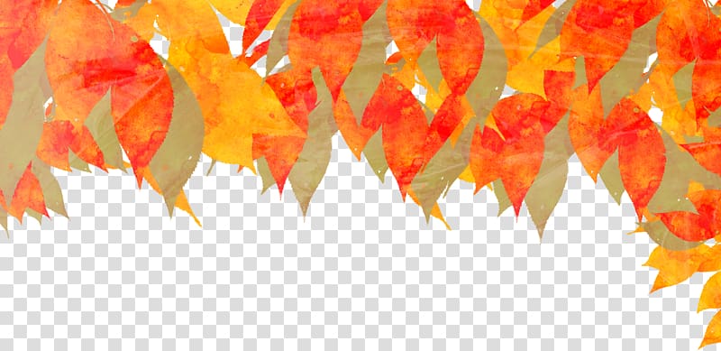 Autumn Watercolor painting Deciduous Illustration, leaf transparent background PNG clipart