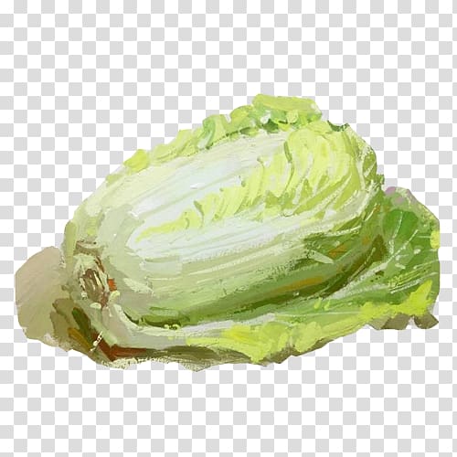 Romaine lettuce Cabbage Vegetable Spring greens, Large cabbage hand painting material transparent background PNG clipart