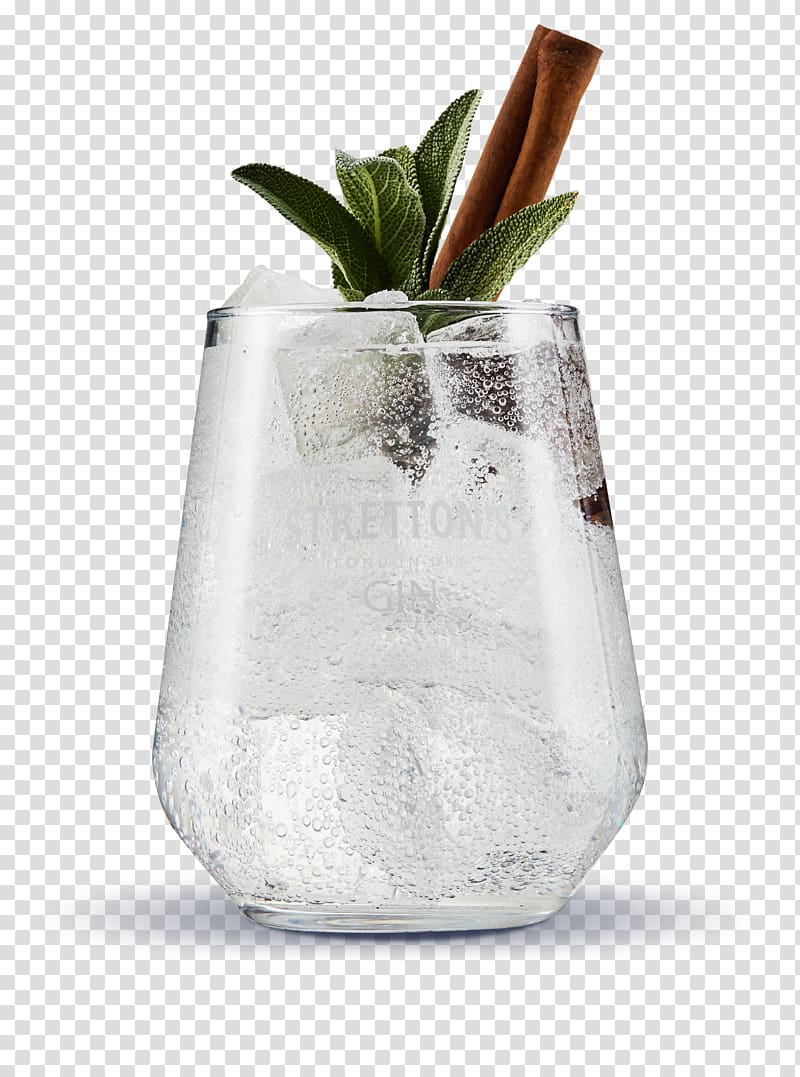 Stretton's Gin with mint and cinnamon stick, Gin and tonic Tonic water Cocktail Distilled beverage, gin tonic transparent background PNG clipart