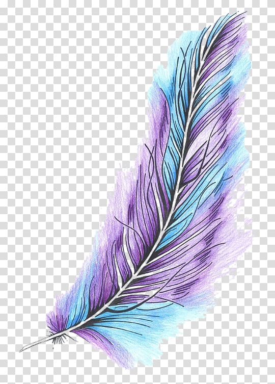 Feather Bird Color Quill Owl, feather transparent background PNG clipart
