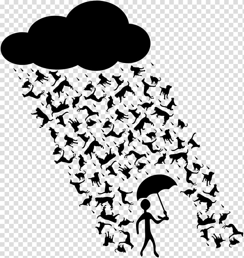 Dog Cat Idiom Literal and figurative language Phrase, rain transparent background PNG clipart