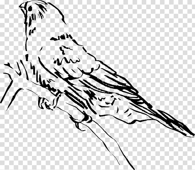 Beak Bird Lark , Bird transparent background PNG clipart