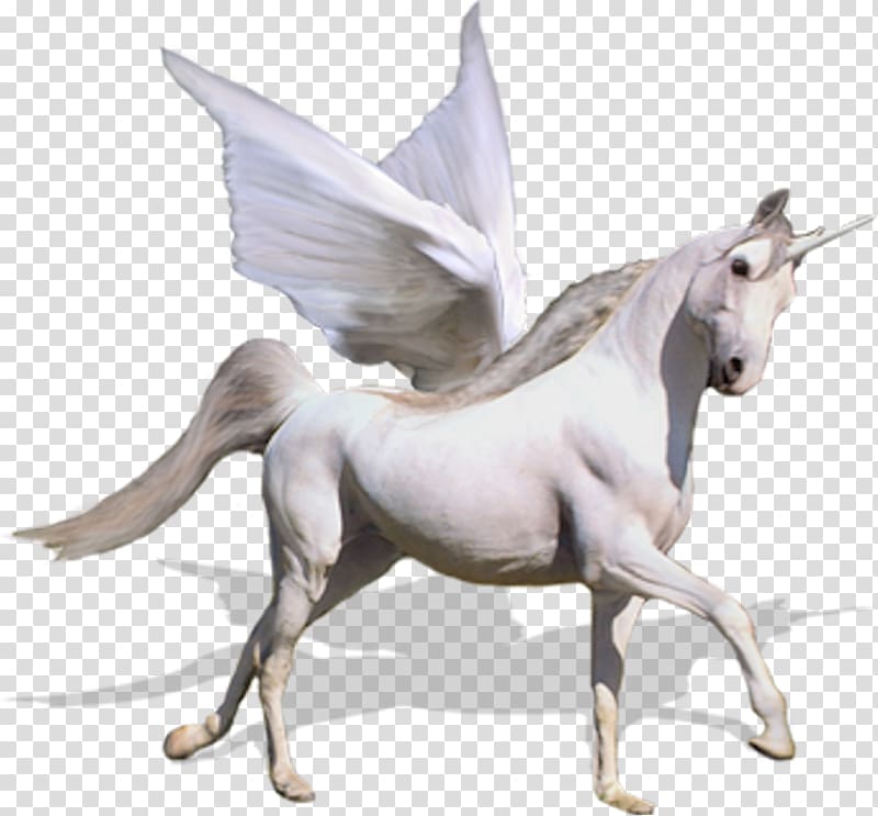Unicorn Horse Caballo alado, Unicorn background transparent background PNG clipart