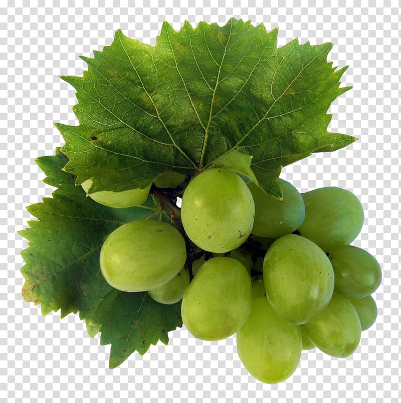 green grapes, Wine Sultana Riesling Grape Fruit, Green Grapes transparent background PNG clipart