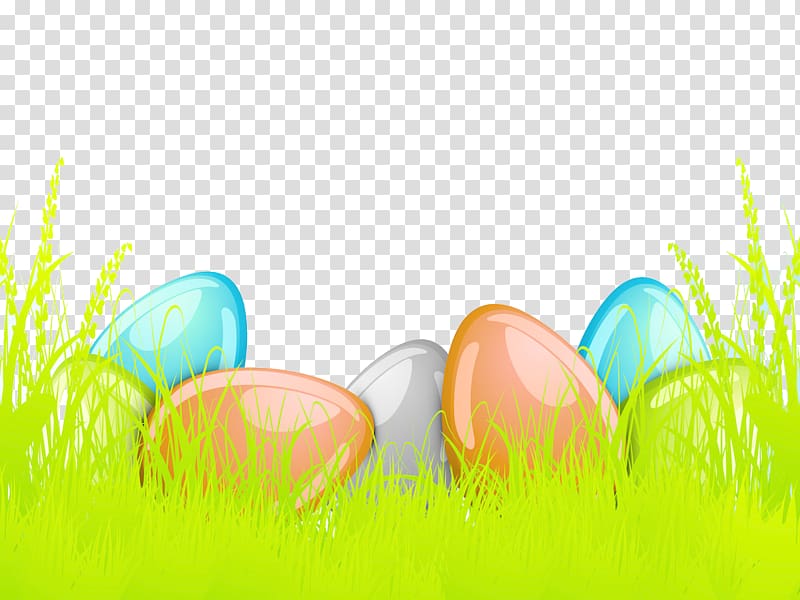 Price Wholesale Alibaba Group Information, Eggs transparent background PNG clipart