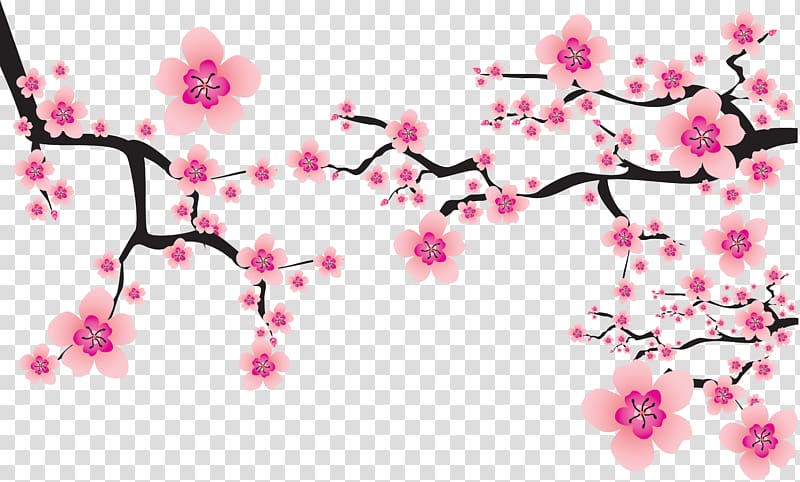 pink petaled flowers art, Cherry blossom Cerasus , sakura transparent background PNG clipart