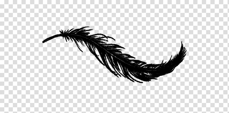 Bird White feather Irresistible, Bird transparent background PNG clipart