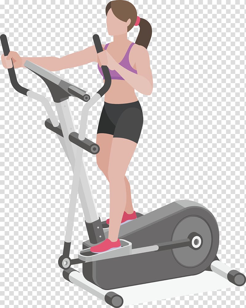 Elliptical trainer Physical fitness Fitness Centre Physical exercise, Beauty Legs Muscle exercise transparent background PNG clipart