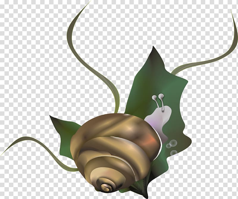 Snail Caracol Euclidean , snails transparent background PNG clipart