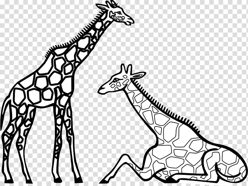 Coloring book Reticulated giraffe Coloring Adult Child, giraffe drawing transparent background PNG clipart