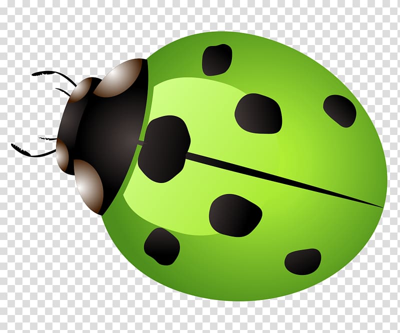 Ladybird Car Icon, Green Ladybug transparent background PNG clipart