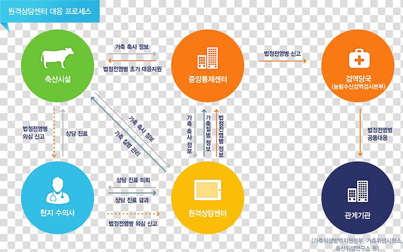 Clinical decision support system Organization Decision-making, others transparent background PNG clipart