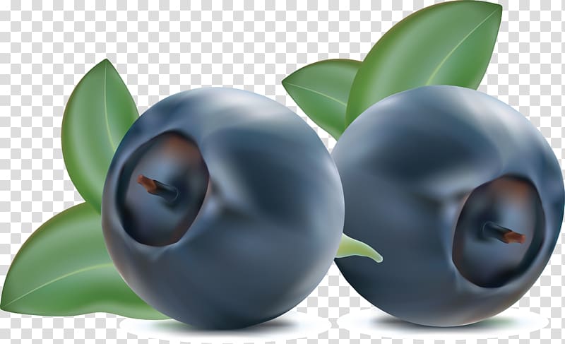 Blueberries transparent background PNG clipart