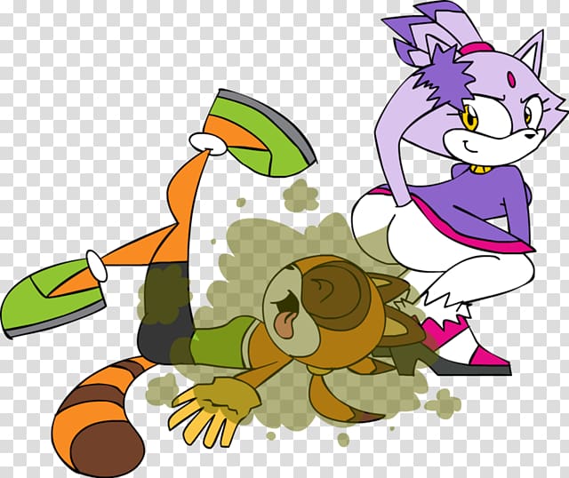 Flatulence Blaze the Cat Amy Rose Marine the Raccoon, others transparent background PNG clipart
