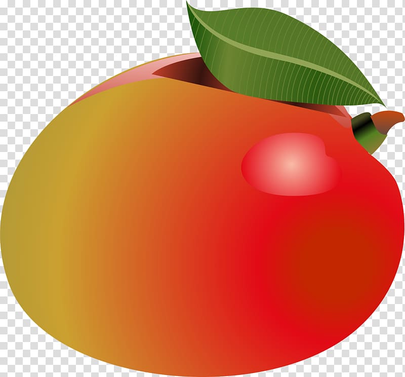 Red Orange , Hand-painted red persimmon transparent background PNG clipart