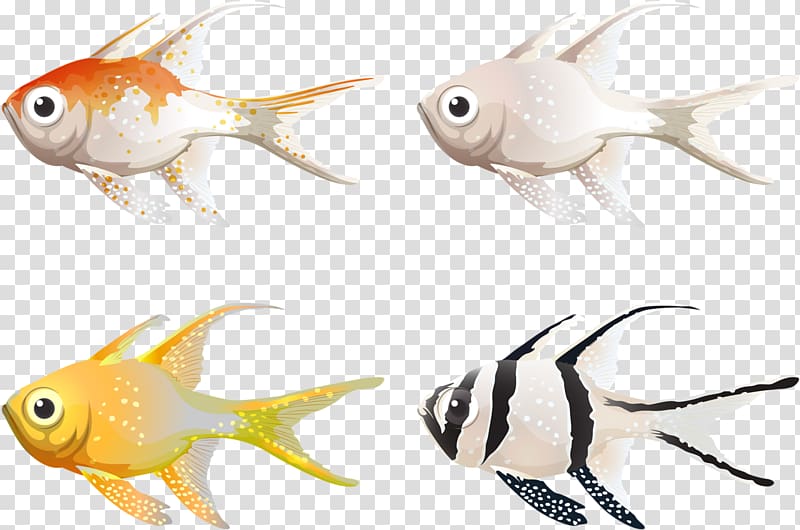 Drawing , nature sea animals seal transparent background PNG clipart
