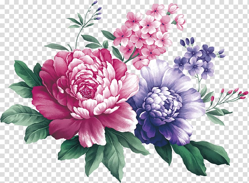 watercolor peony transparent background PNG clipart