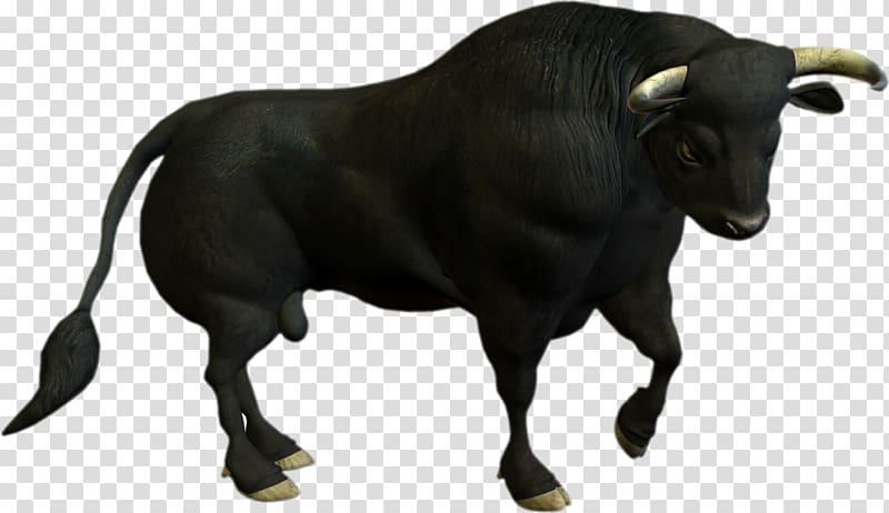 Charging Bull Cattle , Bull transparent background PNG clipart