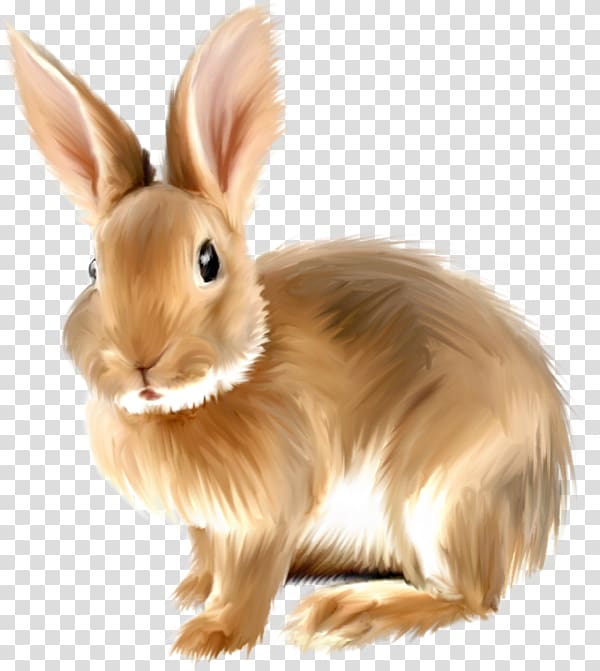 brown rabbit illustration, Angora rabbit , Painted Bunny . transparent background PNG clipart