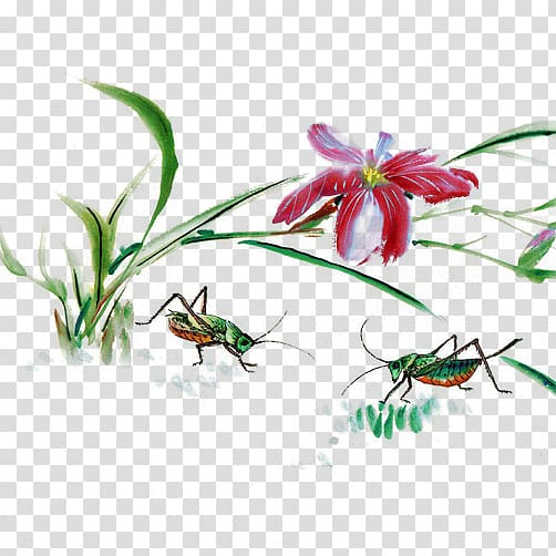 Chinese painting Ink wash painting Gongbi Shan shui, Grasshopper flowers ink composition transparent background PNG clipart