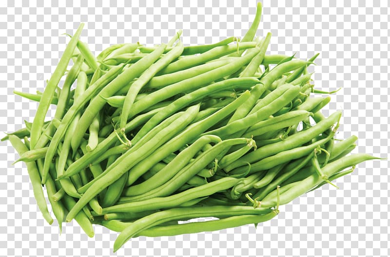 Green bean Portable Network Graphics Refried beans Vegetable, vegetable transparent background PNG clipart
