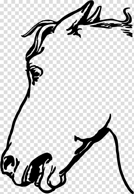 Mustang Arabian horse Horse head mask Stallion , donkey face transparent background PNG clipart
