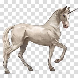 white horse , Unicorn Illustration transparent background PNG clipart