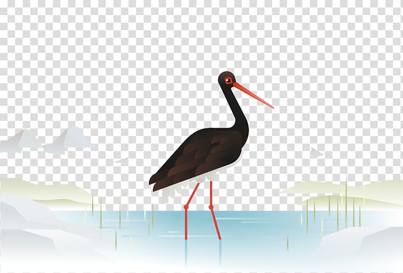 Crane Heron Bird Stork, Beautifully hand-painted crane. transparent background PNG clipart