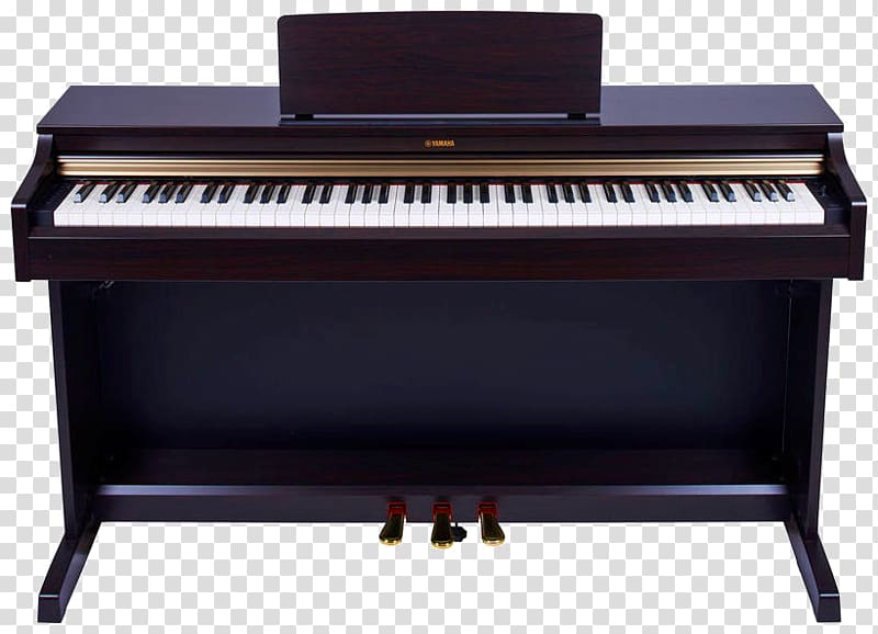 Digital piano Electric piano Pianet Player piano Musical keyboard, piano transparent background PNG clipart