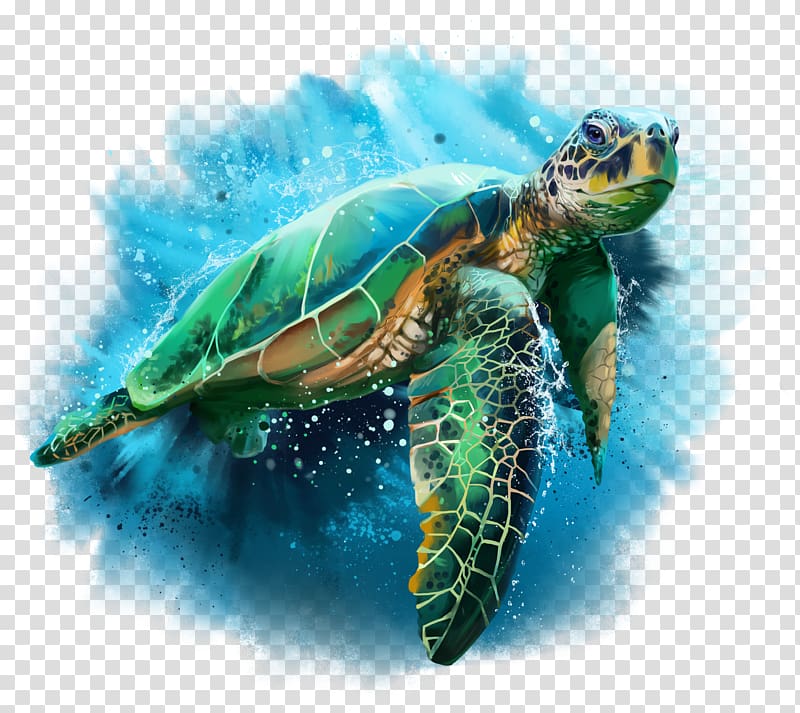 green and brown turtle illustration, Turtle Drawing Watercolor painting Cheloniidae, blue sea transparent background PNG clipart
