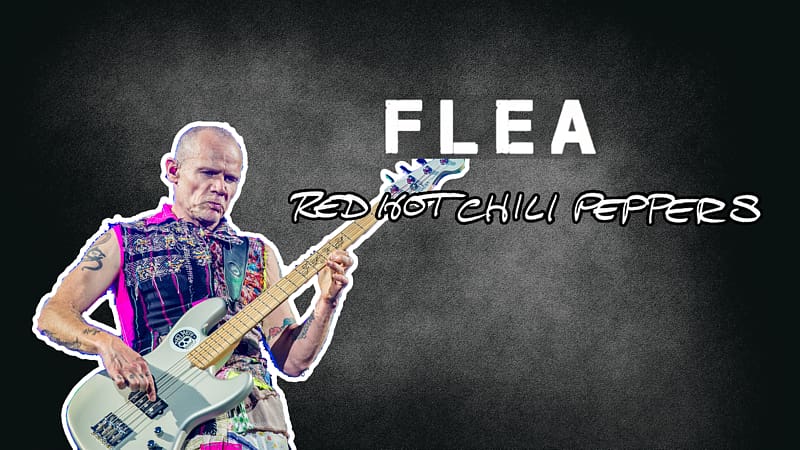 Fender Precision Bass Music Man StingRay Bassist Bass guitar, flea transparent background PNG clipart